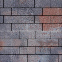  Тротуарная плитка Steinrus Прямоугольник Лайн 200х100х60 мм Абрау BackWash: внешний вид